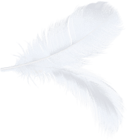 Decorative feathers