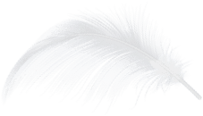 Decorative feather