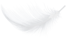 Decorative feather