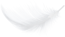 Decorative feathers