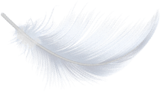 Decorative feather