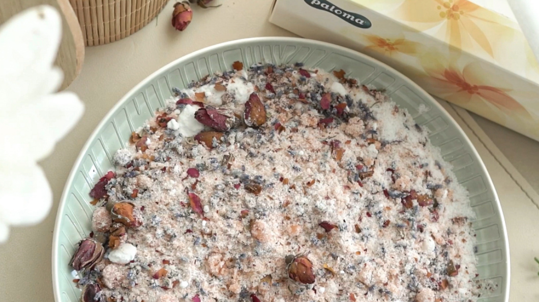 Paloma 11 Web Naslovna Solnakopel