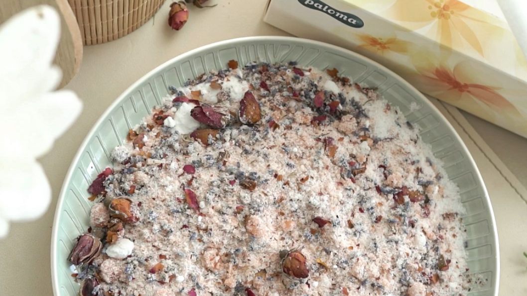 Paloma 11 Web Naslovna Solnakopel