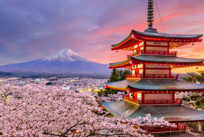 Paloma 05 Web Naslovna Japonske Tradicije