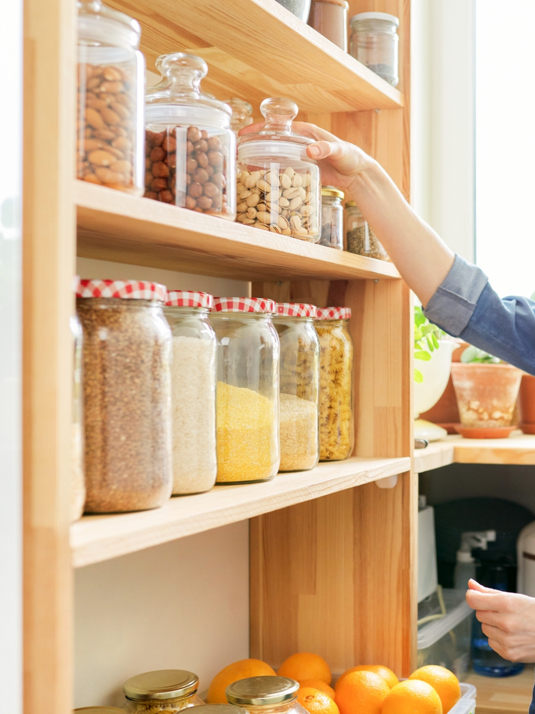 Paloma 11 Web Urejena Shramba 1