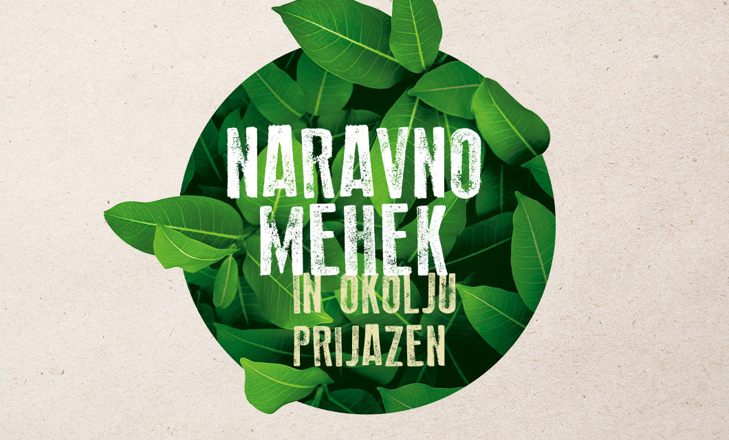 Paloma Green 1060x640px