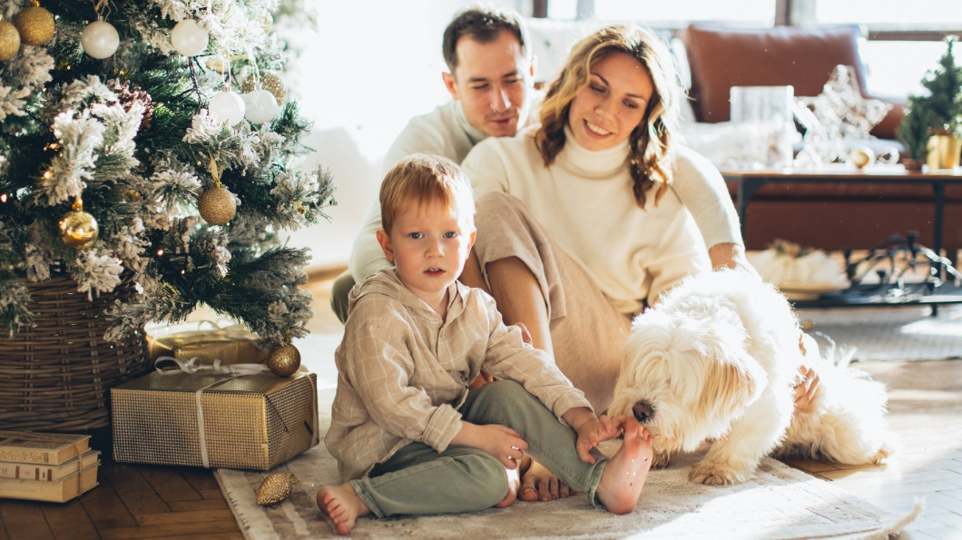 Paloma 12 Web Naslovna Odnosi Med Prazniki