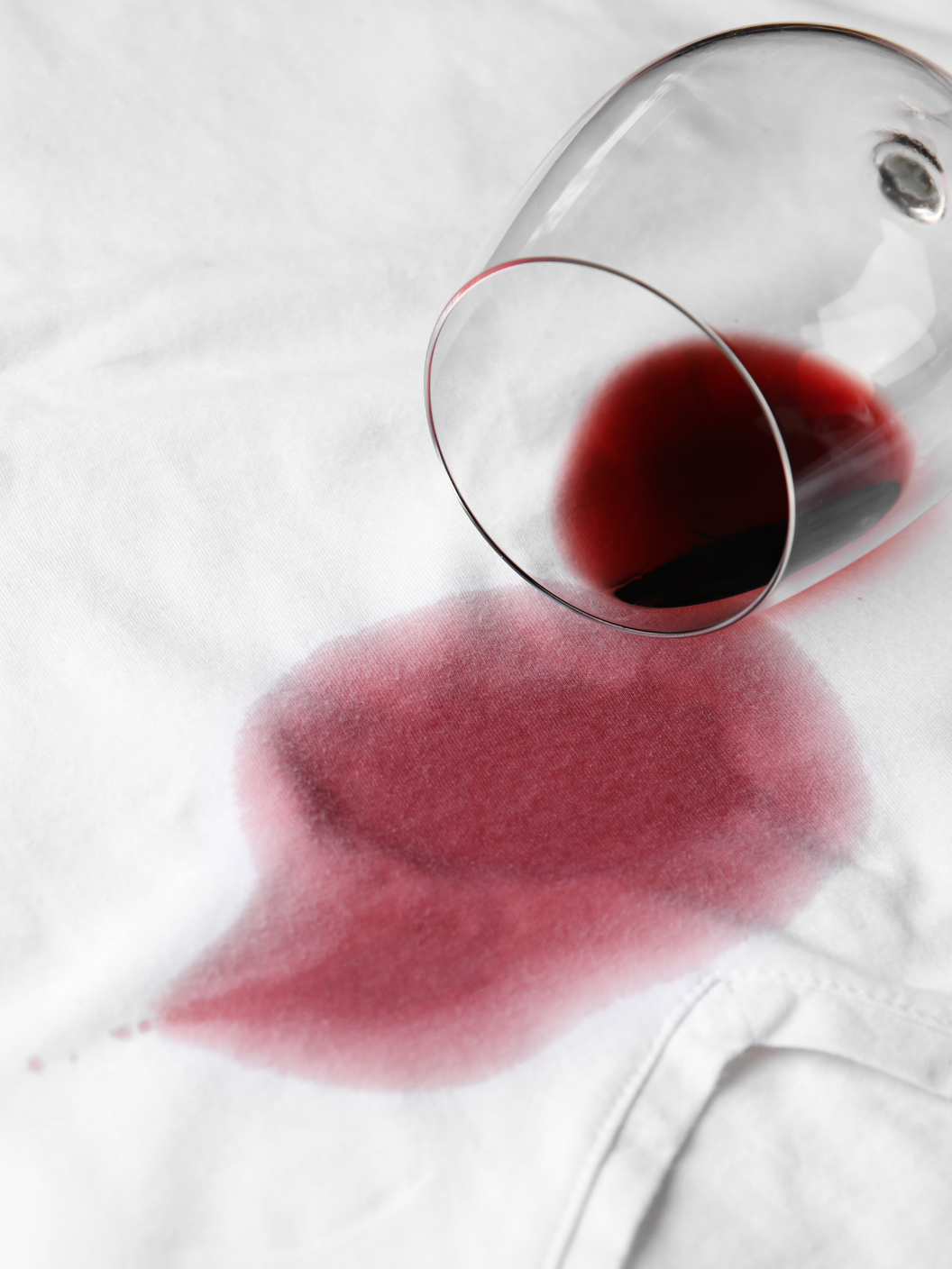 Paloma 08 Web Hranljiv Obrok 1