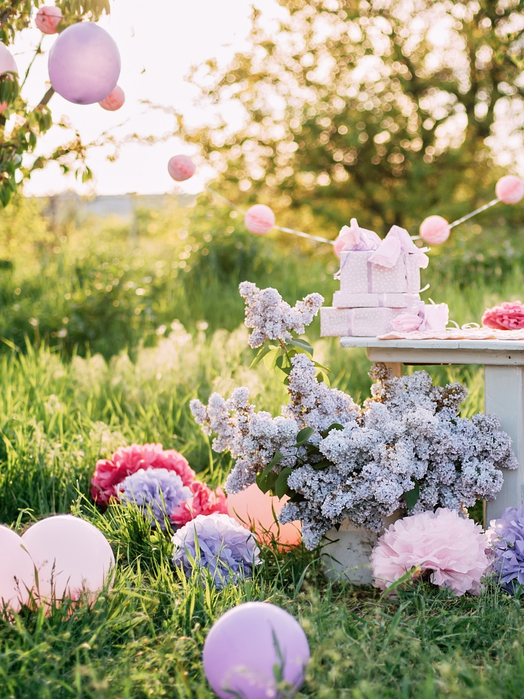 Paloma 07 Web Rojstnodnevni Piknik 01