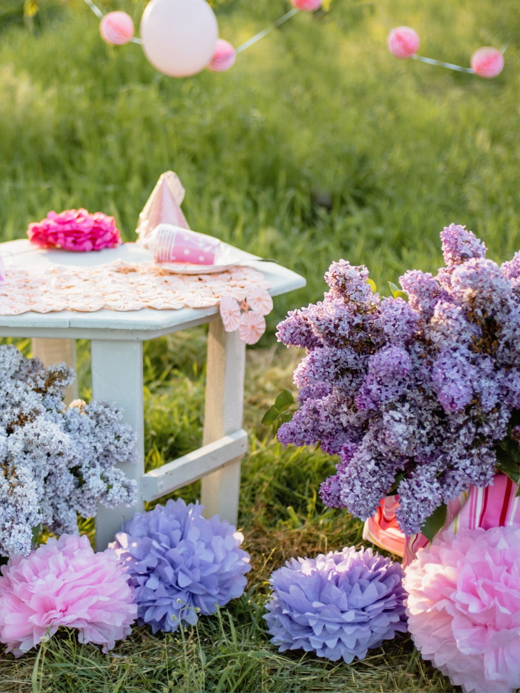 Paloma 07 Web Rojstnodnevni Piknik 02