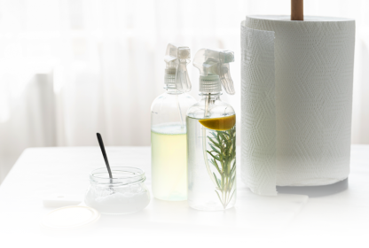 Paloma 09 Web Naslovna Ciscenje Stanovanja