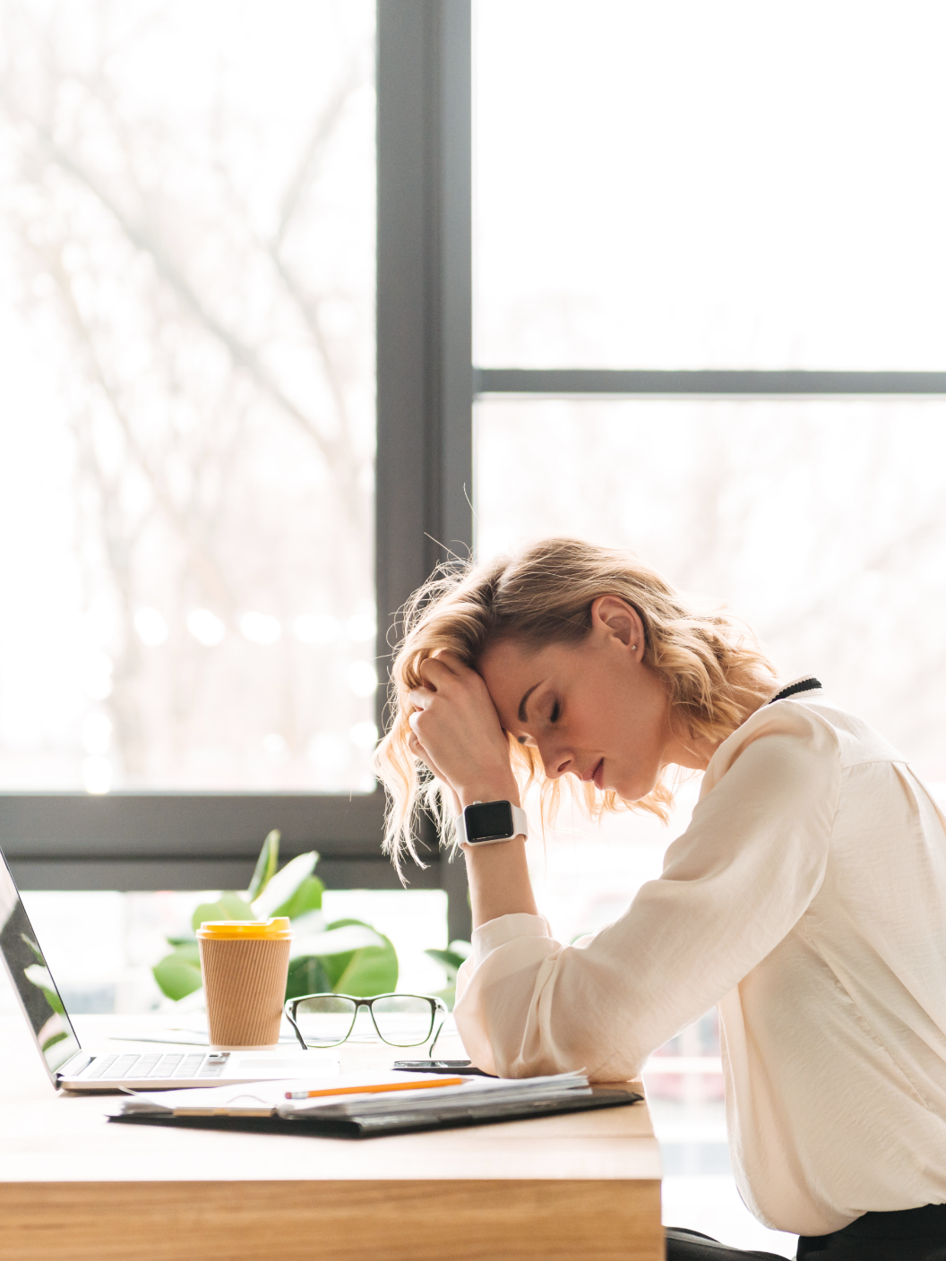 Paloma 11 Web Mobing 02