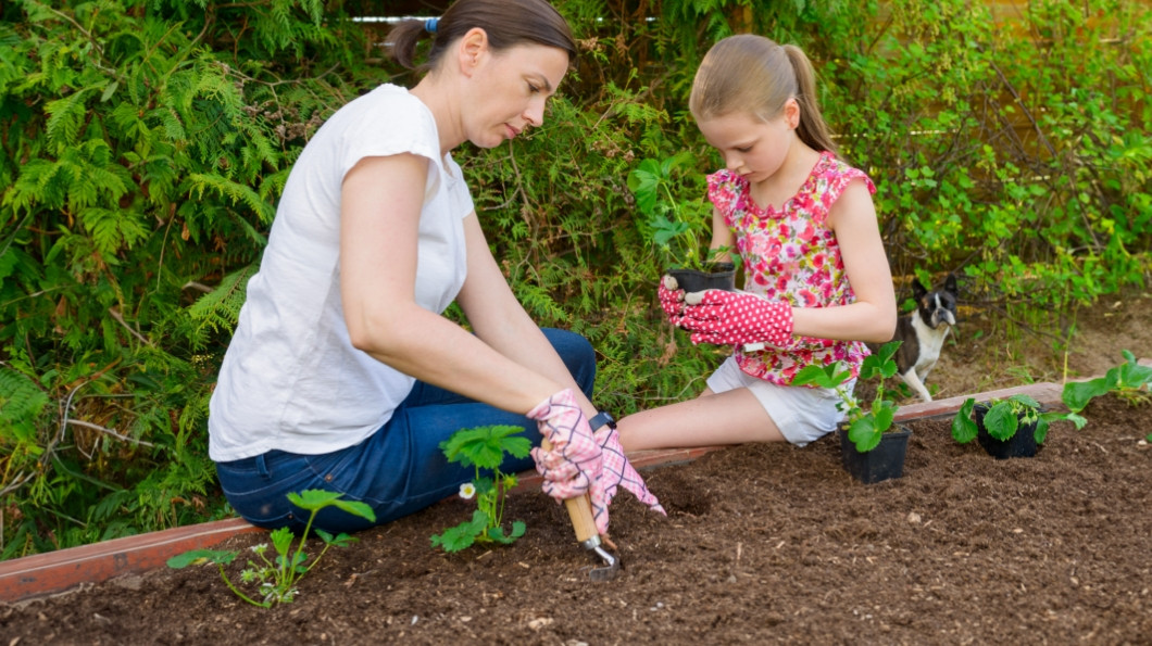 Paloma 08 Web Naslovna Zunanja Opravila