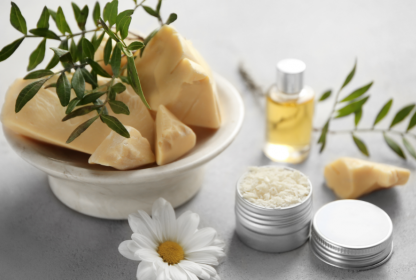 Paloma 06 Web Naslovna Domacakozmetika Brez