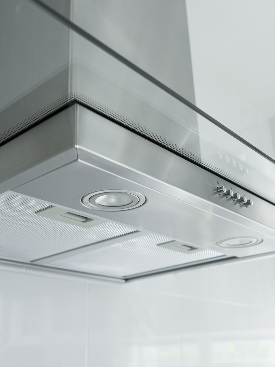 Paloma 06 Web Ciscenjedoma 02