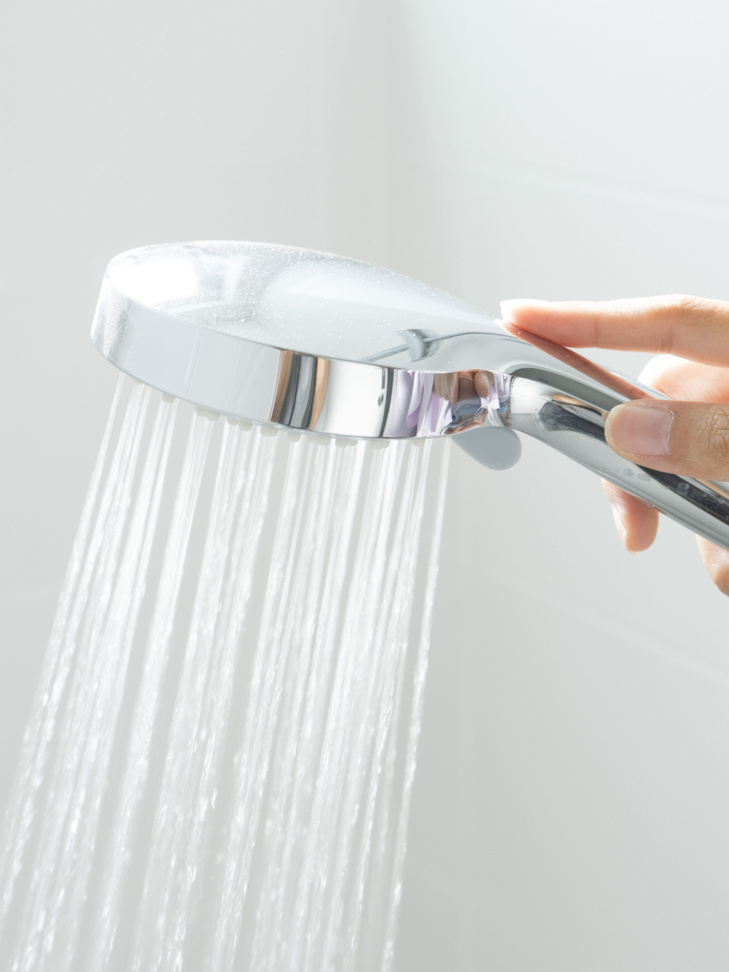 Paloma 06 Web Ciscenjedoma 03