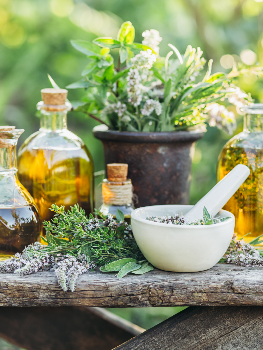 Paloma 05 Web Zerowaste 03