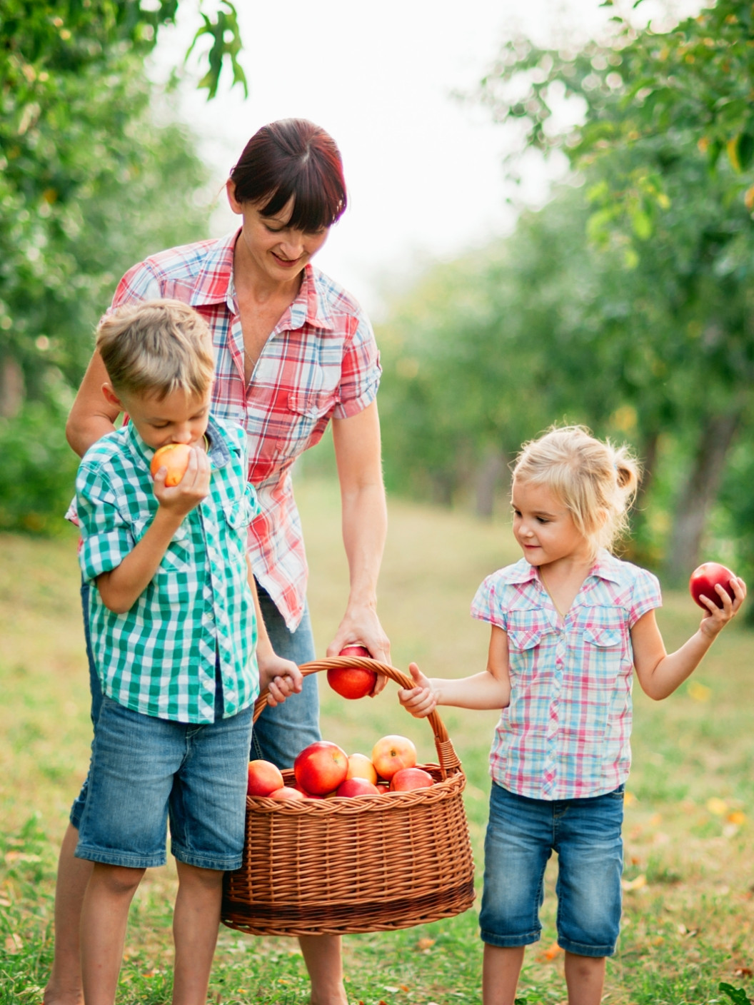 Paloma 09 Web Otrosko Sodelovanje 01