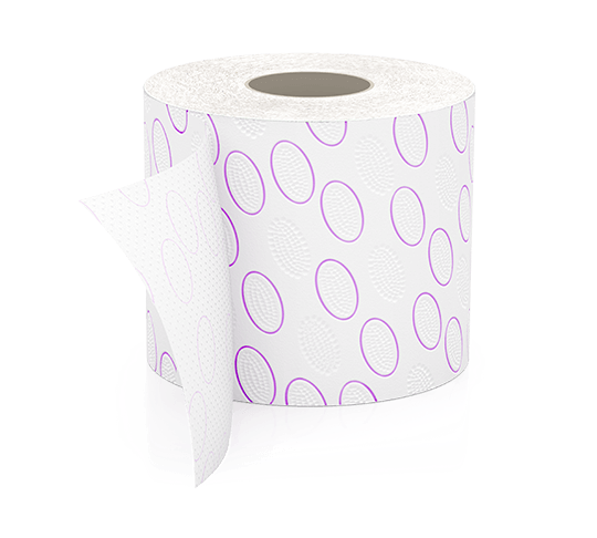 Paloma Render 1110 Web