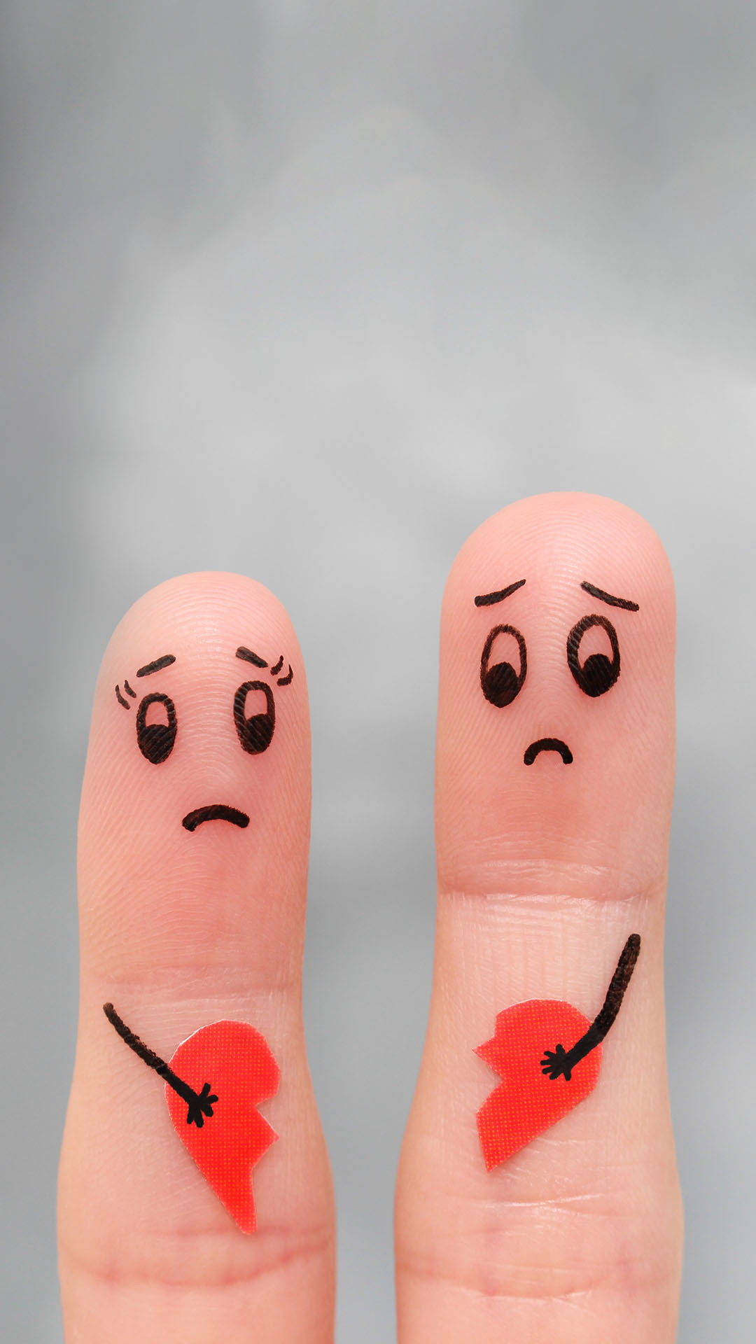 Paloma 03 Web 1920x1080 Medsebojiniodnosi 2