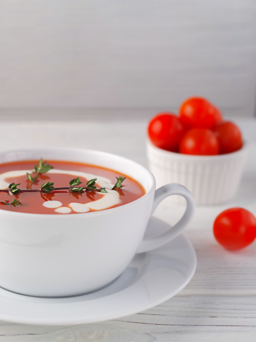 Paloma 05 Web Zavrzena Hrana 03