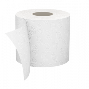 Toilet *paper*