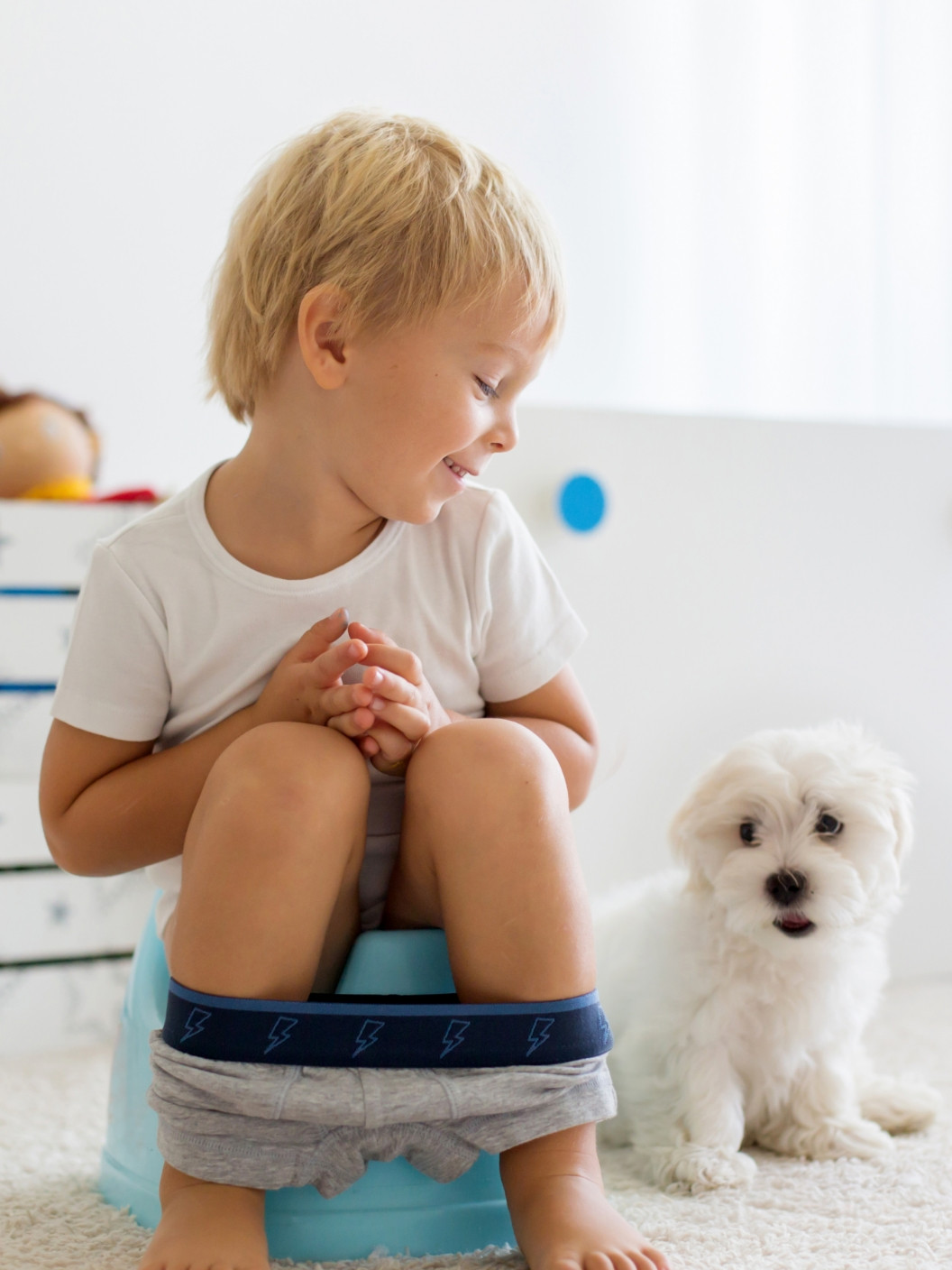 Paloma 11 Web Odvajanje Od Planic 03