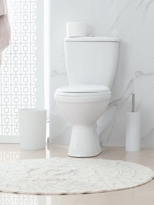 Straniščna školjka