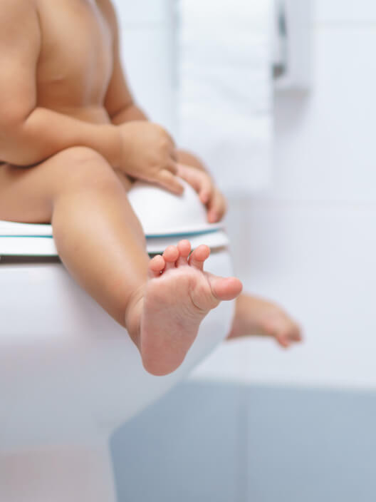 Privajanje na straniščno školjko