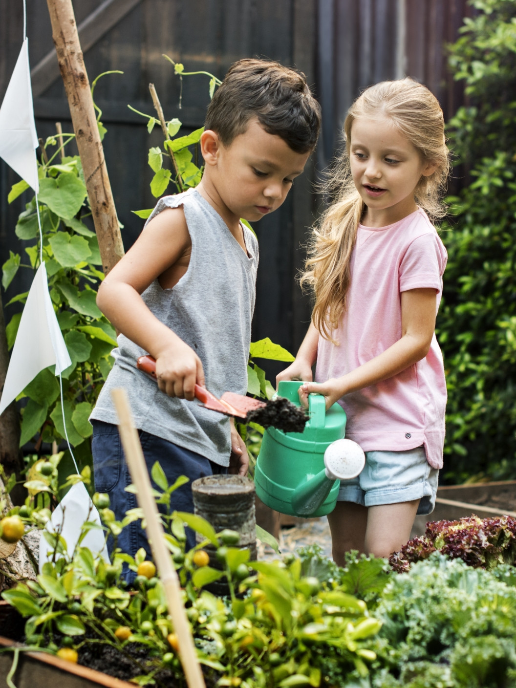 Paloma 08 Web Zunanja Opravila 03