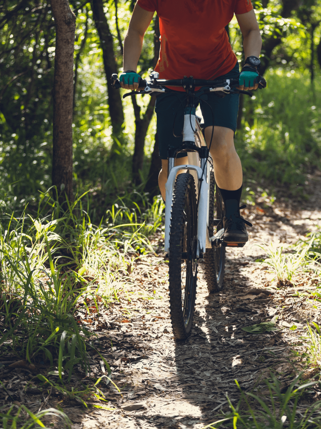 Paloma 08 Web Na Kolo 01