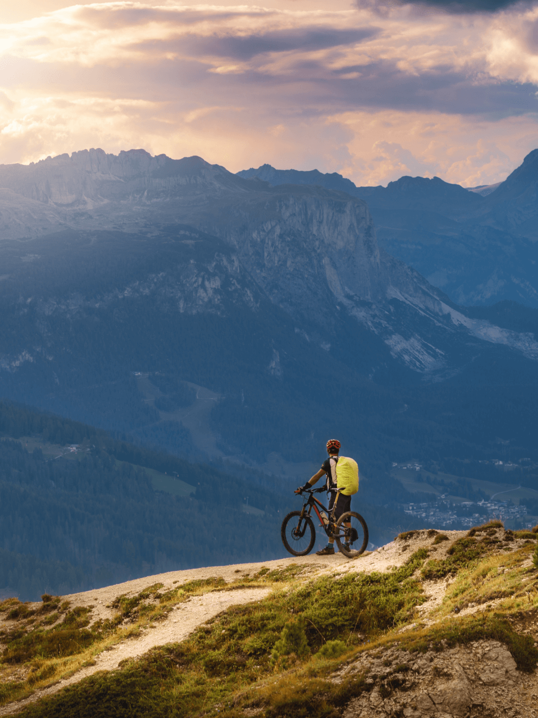 Paloma 08 Web Na Kolo 02