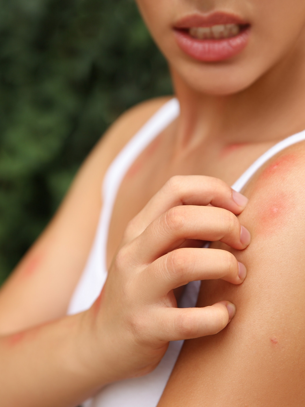 Paloma 07 Web Kampiranje 01