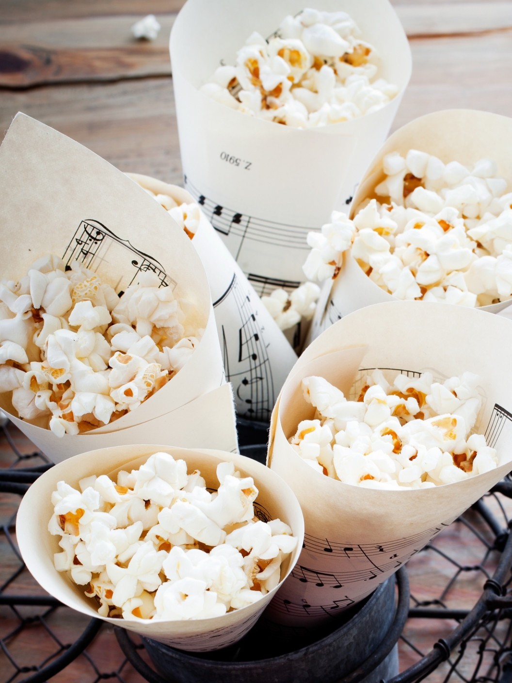 Paloma 07 Web Kampiranje 04