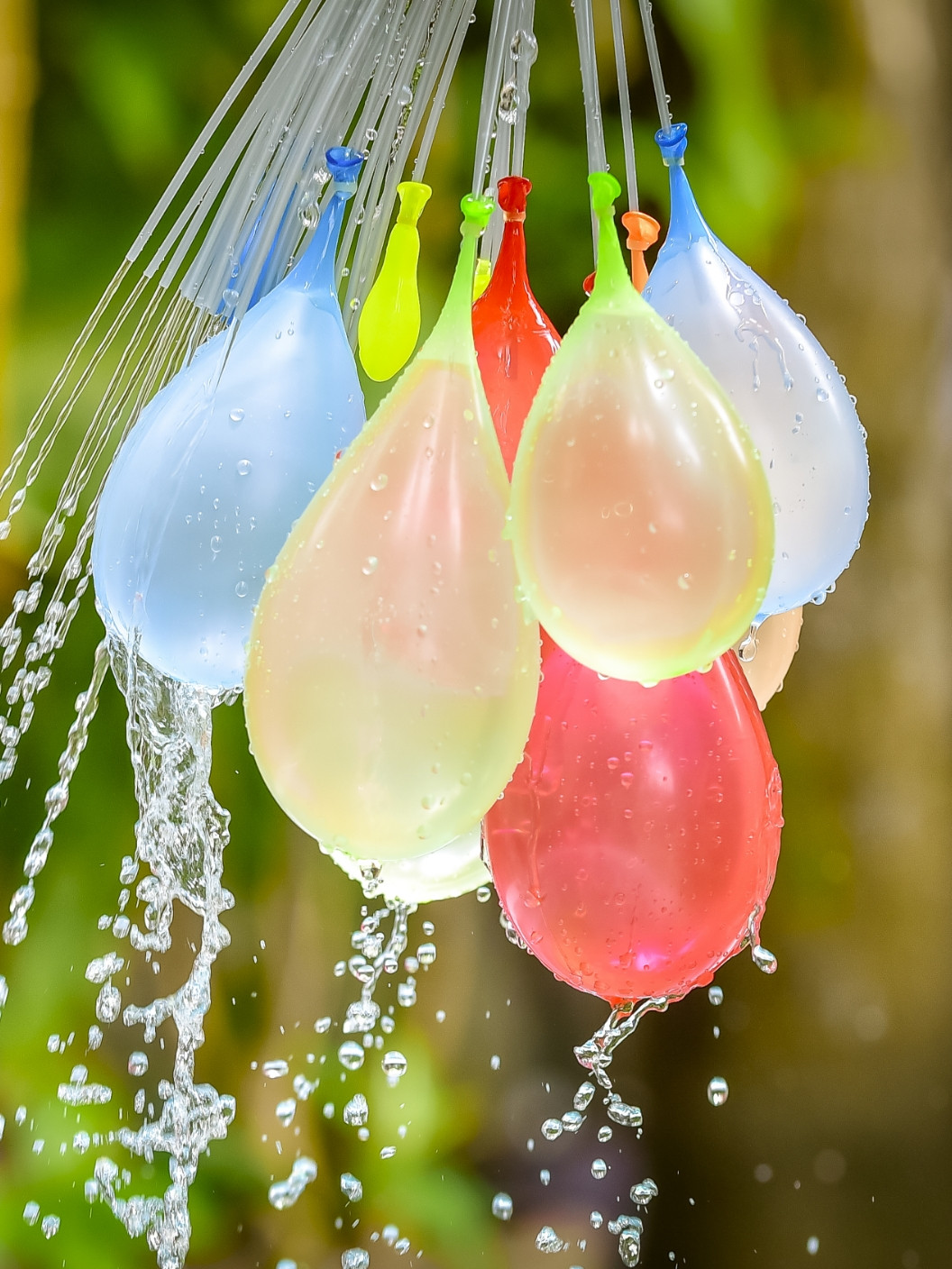 Paloma 08 Web Prijatelji 02