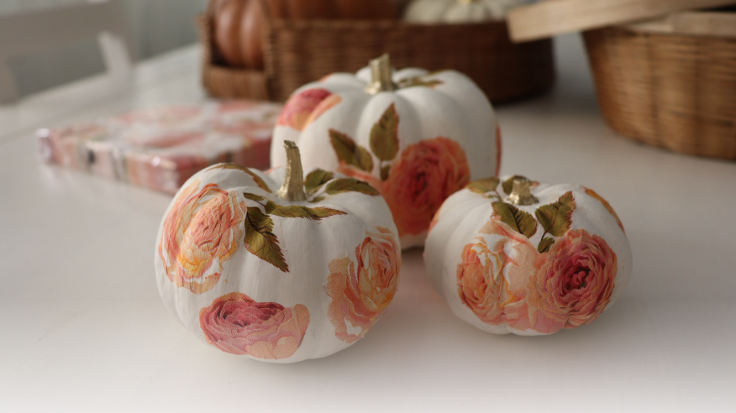 Paloma 10 Web Naslovna Okrasitev Buc